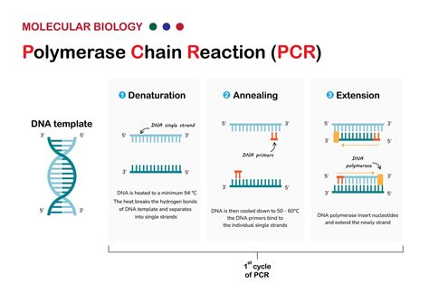 lmspccr|PCCR.